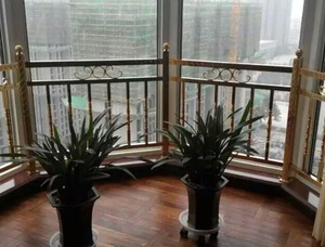 护栏 (48)
